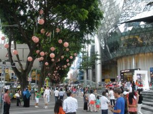 A crowd of people walk between buildings with mirrored sides and a line of trees with pink paper lanterns hanging from the branches. 