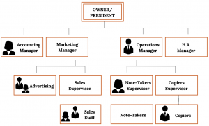 organisational structure of adidas