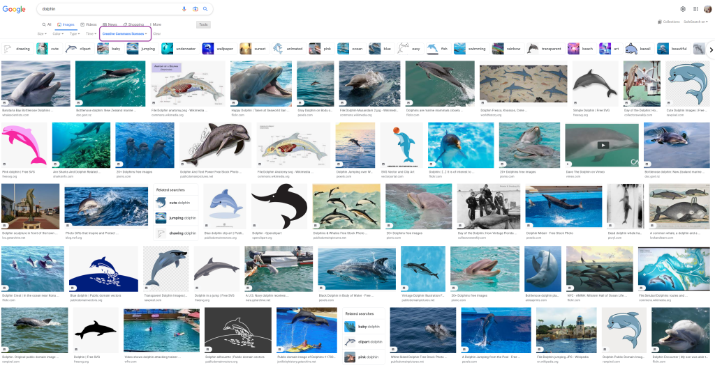 Google search results for "dolphin" filtered by creative commons licenses