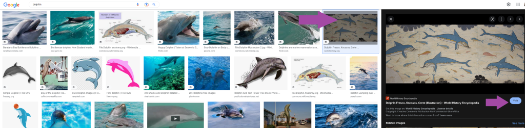 When clicking an image from google image's search engine, the image appears to the right. There's a button under the image that says "visit"