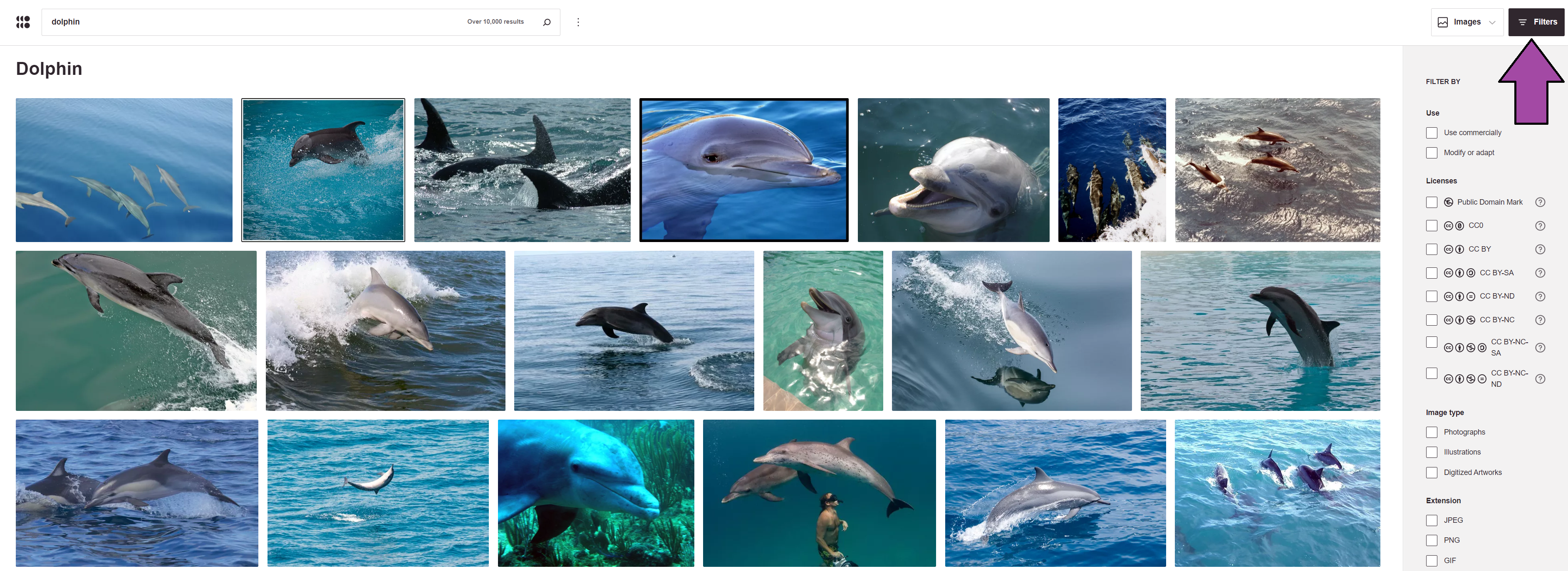 A search page with many dolphin images. Includes "filters" for advanced sorting.