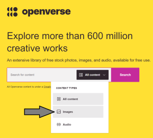 Openverse search engine containing a dropdown menu with options like all content, images, or audio.