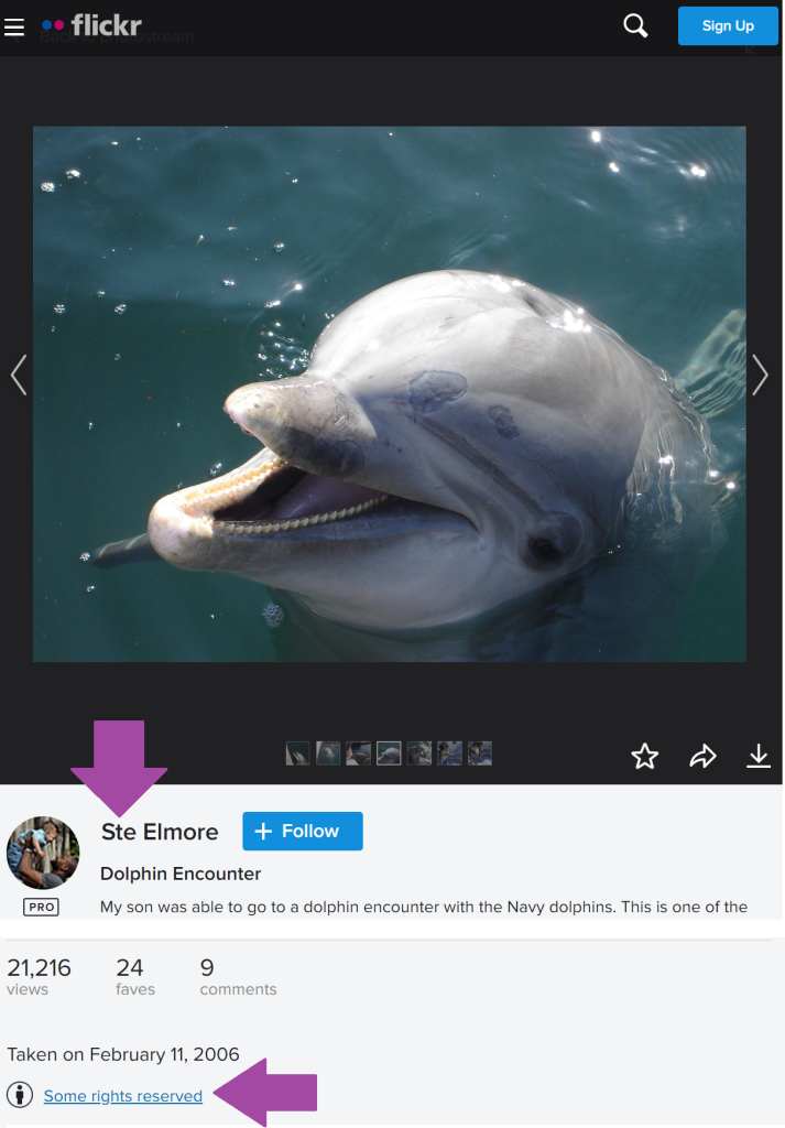 Image of a dolphin on Flickr with data below the image including the author of the image, title of the image, when it was posted, and a place to click to learn more on which rights are reserved/what license the image has.