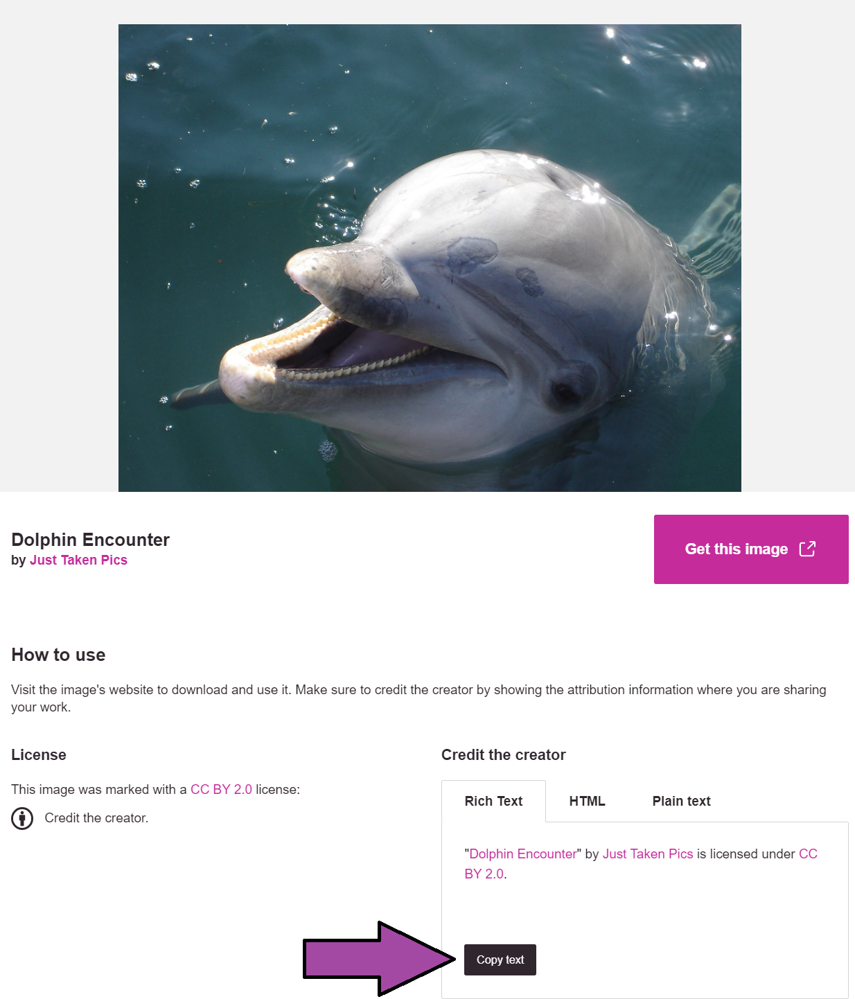 Dolphin image with data below that includes the author of the image, terms of use, and a place to copy the recommended attribution statement