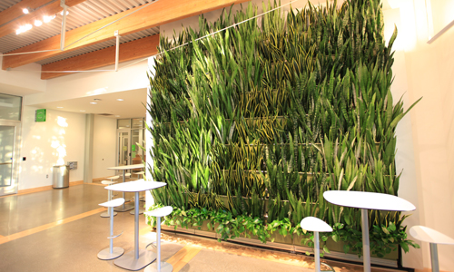 A wall inside a building is filled with living plants, floor to ceiling.