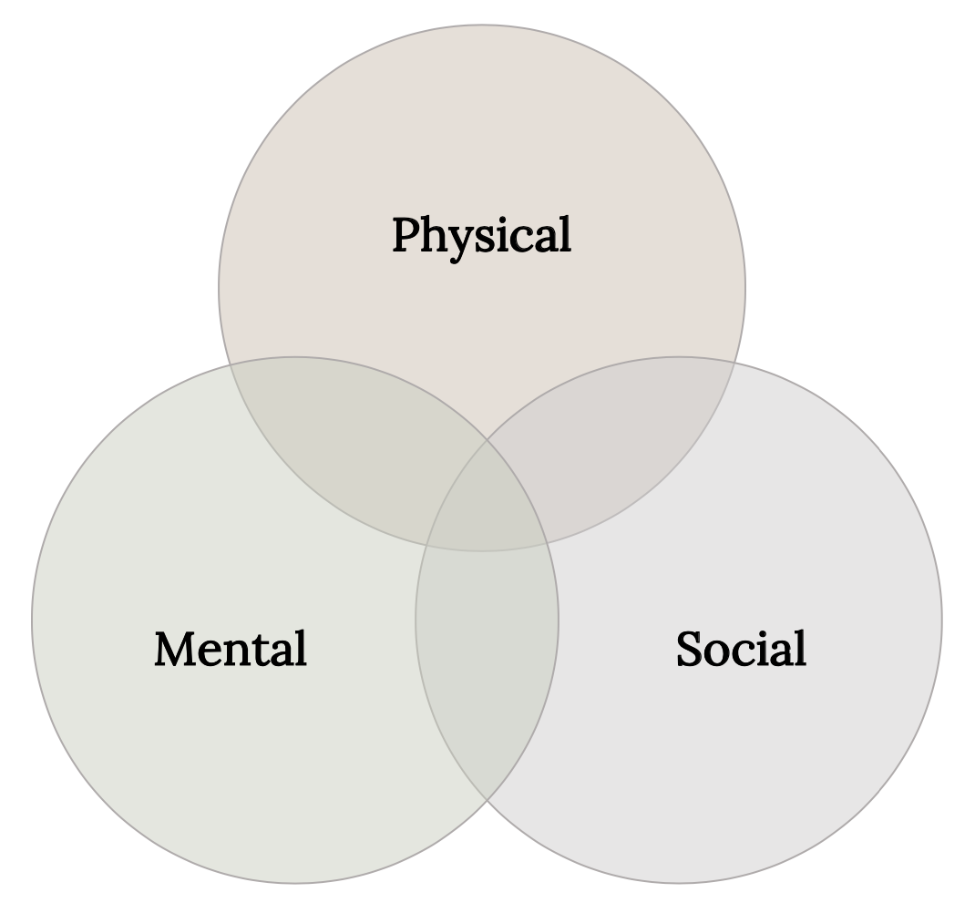 Three overlapping circles illustrate the relationships between the physical, social, and mental.