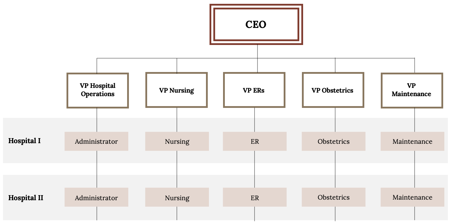 Flow chart of an 'Example Matrix Organization' for a 'Hospital System.' CEO sits at the top. Beneath the CEO: VP Hospital Operations, VP Nursing, VP ERs, VP Obstetrics, VP Maintenance. Beneath VP Hospital Operations: Hospital I Administrator, Hospital II Administrator. Beneath VP Nursing: Hospital I Nursing, Hospital II Nursing. Beneath VP ERs: Hospital I ER, Hospital II ER. Beneath VP Obstetrics: Hospital I Obstetrics, Hospital II Obstetrics. Beneath VP Maintenance: Hospital I Maintenance, Hospital II Maintenance.