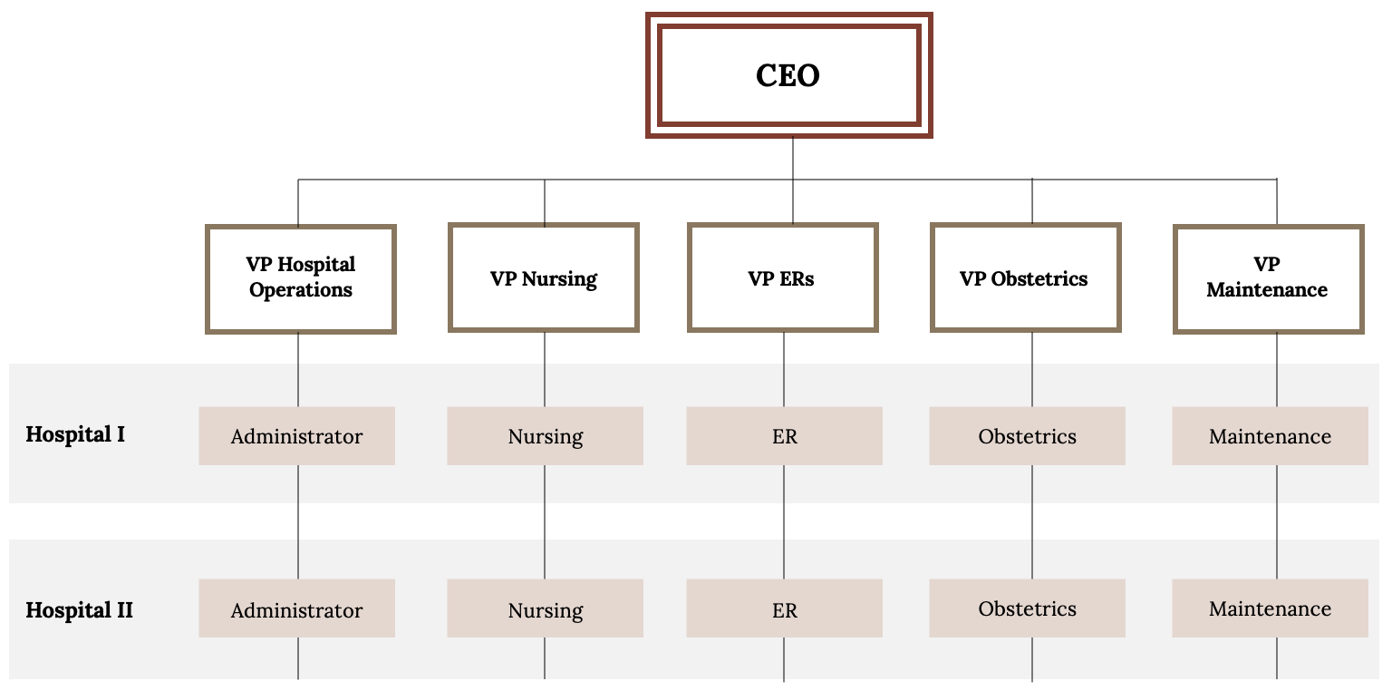 hospital departments structure