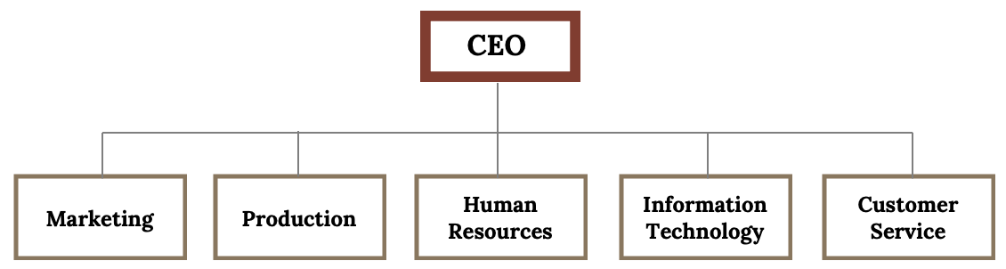 Simple flow chart deipicting 'An Example of a Functional Structure.' CEO is at the top and 5 boxes sit below it: marketing, Production, Human Resources, Information Technology, Customer Service.