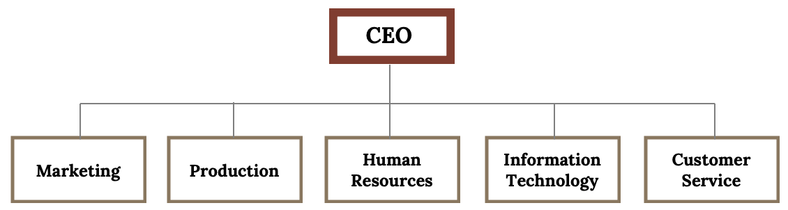 10.4 Creating an Organizational Structure – Strategic Management