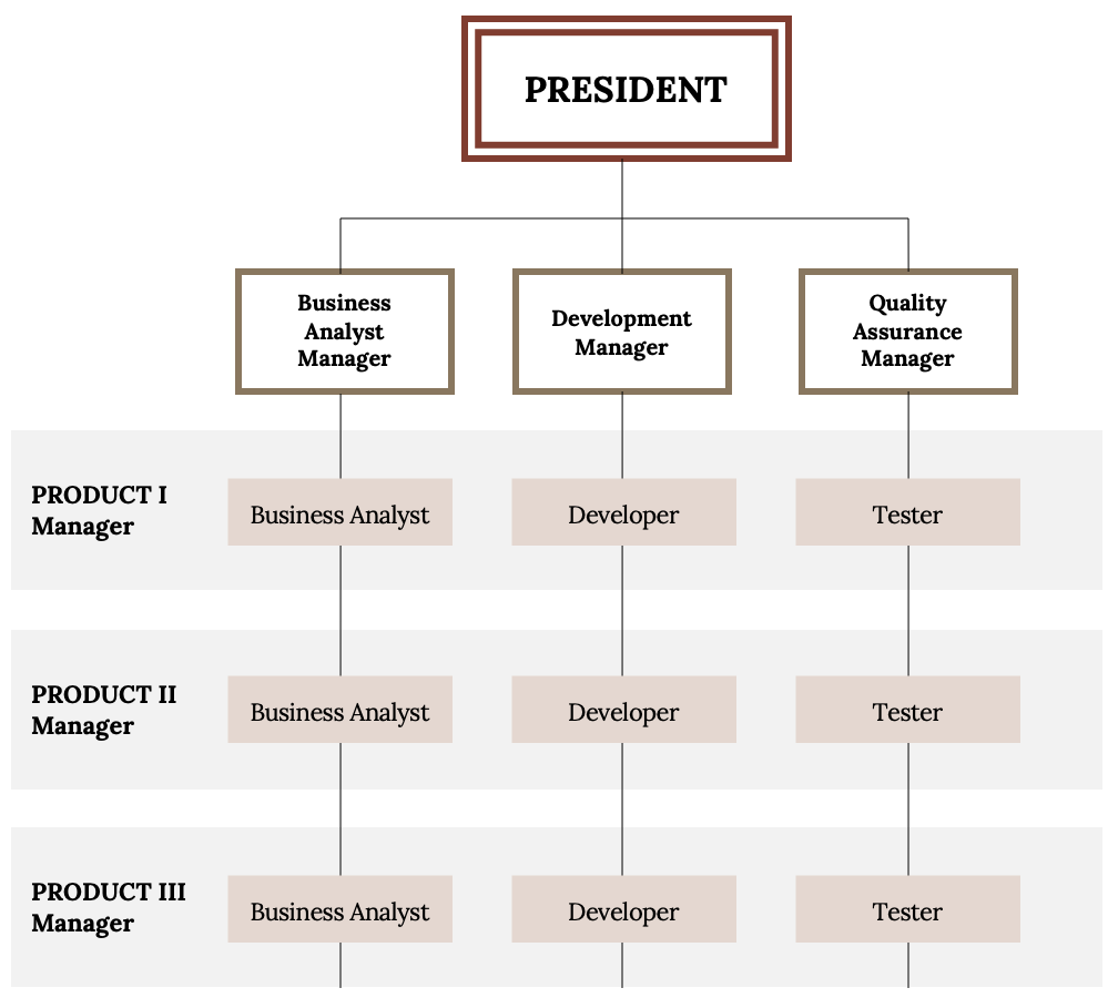 Flow chart of an organizational structure. 'President' is at the top. Three boxes beneath the President: Business Analyst Manager, Development Manager, Quality Assurance Manager. To the left are 3 horizontal rows indicating Product I Manager, Product II Manager, anf Product III Manager. In each of these horizontal rows are a business analyst, developer, and tester. 