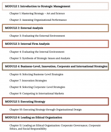 1.6 Understanding The Strategic Management Process – Strategic Management