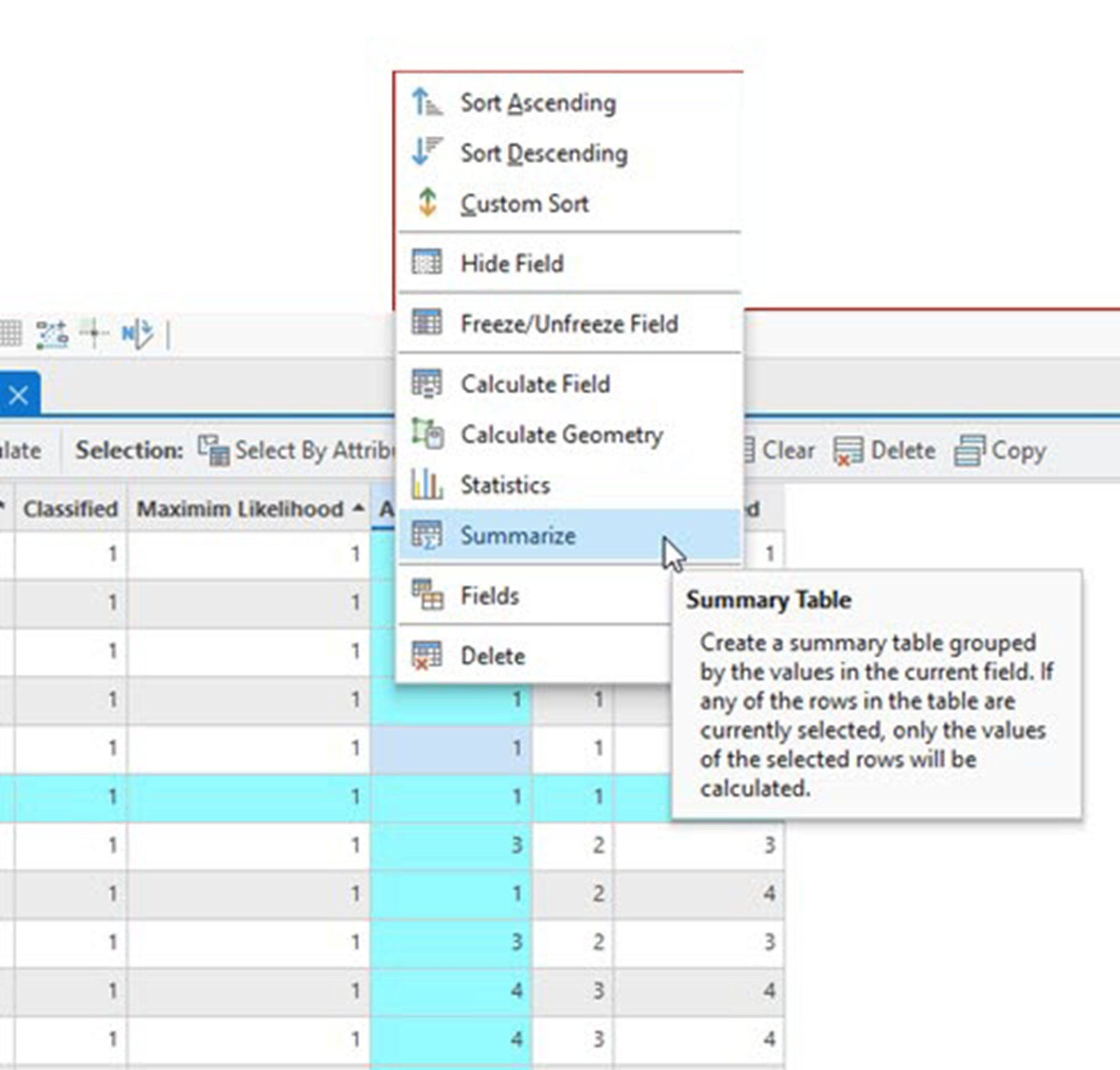 Screenshot of creating a summary of the attribute table