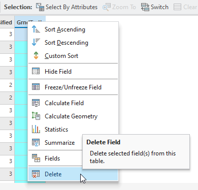 Screenshot of deleting a field in the attribute table.