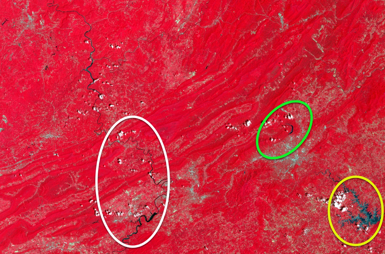 Screenshot of false color Landsat scene with highlighted regions for comparison.