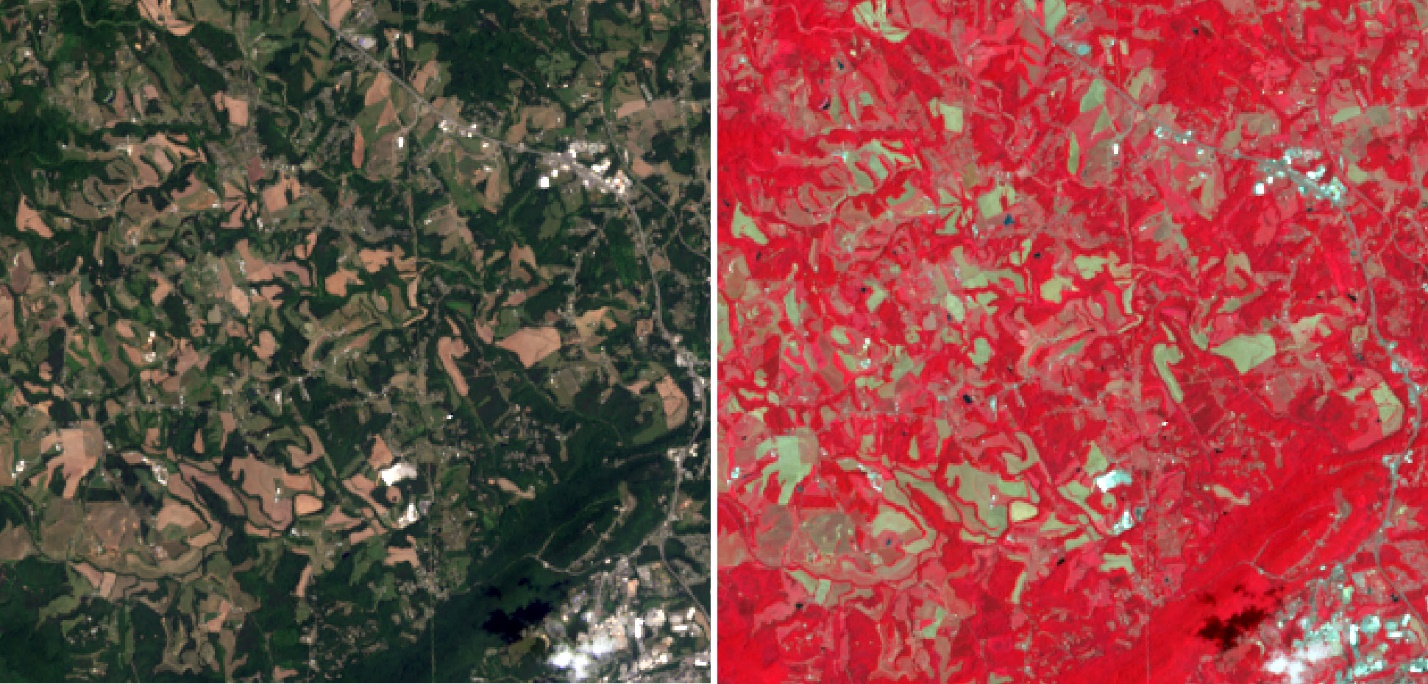 Screenshot comparing true color and a false color NIR image.