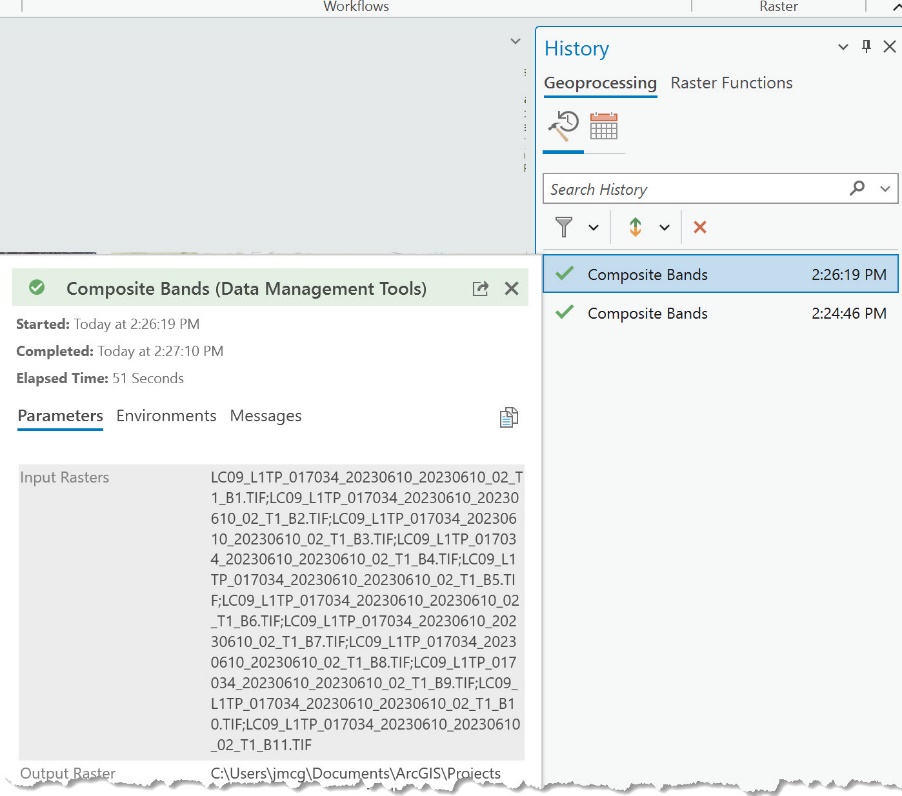 Screenshot of processing history.