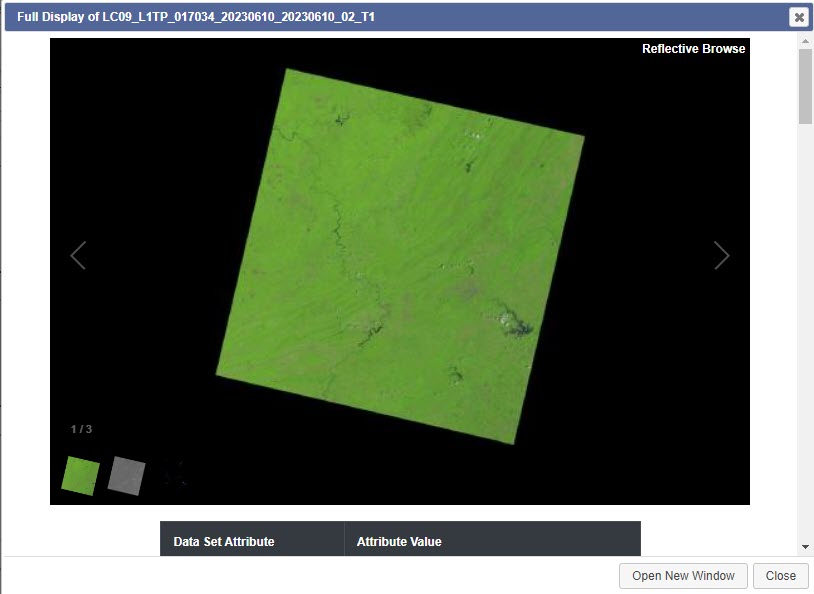 Screenshot of an example of a Landsat image provided with Earth Explorer’s metadata.
