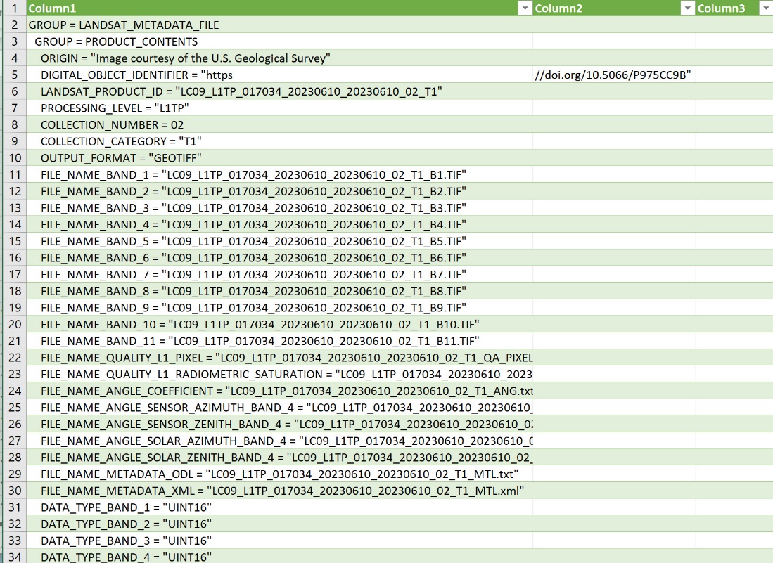 Screenshot of viewing a metadata file in Excel.