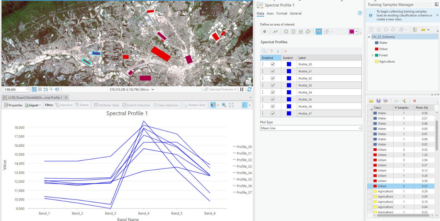 Screenshot of urban spectral profiles after the evaluation process.