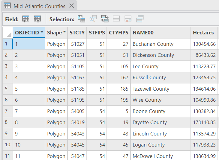 Image showing a screenshot of an attribute table.