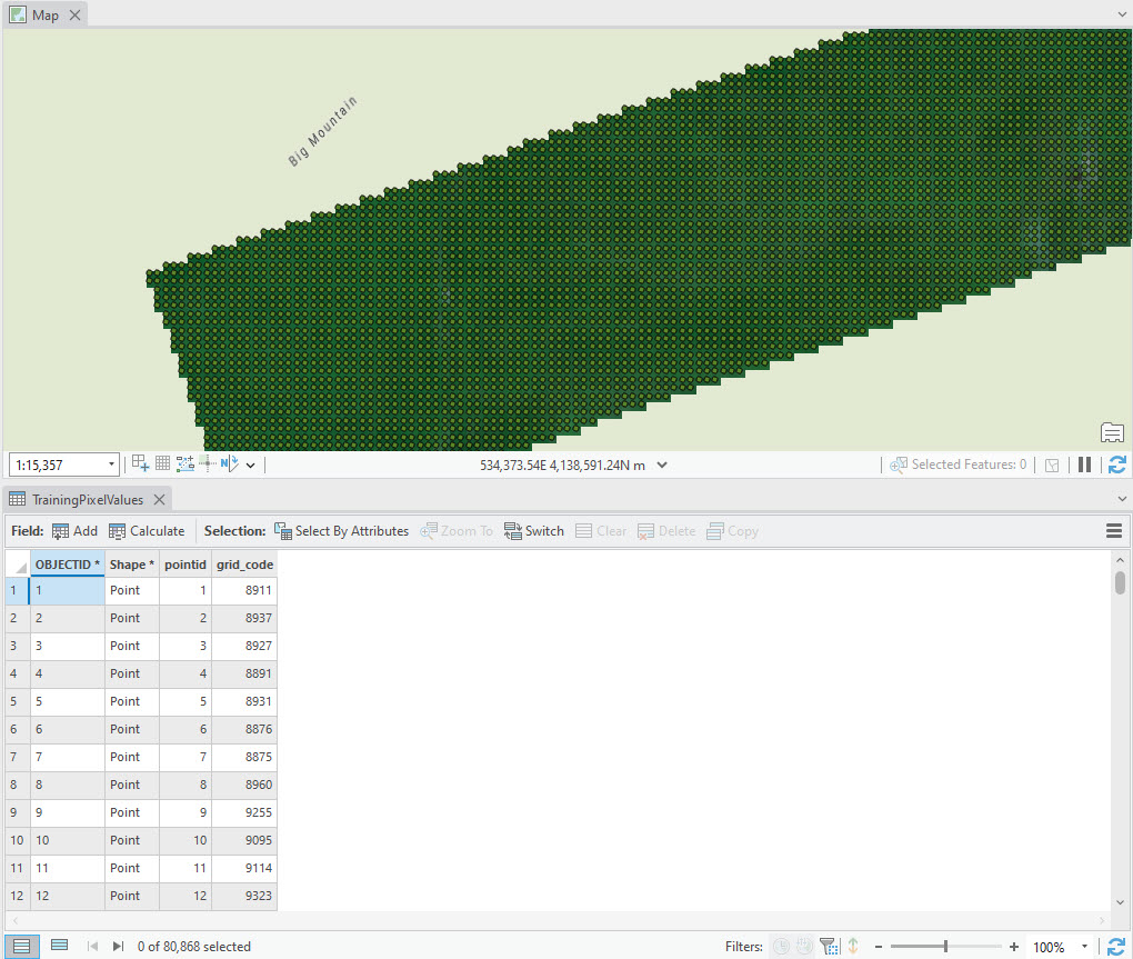 Screenshot of pixel values extracted into a point shapefile.