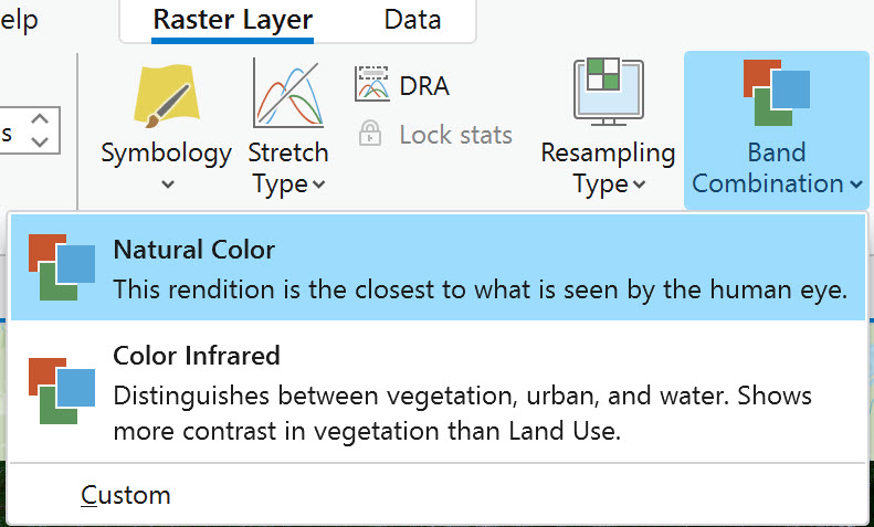 Screenshot of the Natural Color option.