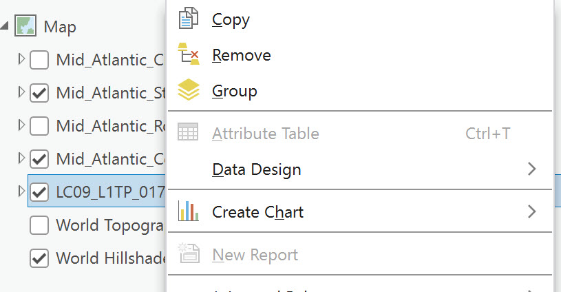 Image showing a screenshot of some raster data sets do not have a raster layer.