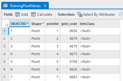 Screenshot of null values in the attribute table.