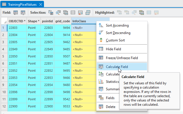 Screenshot of calculating a field.