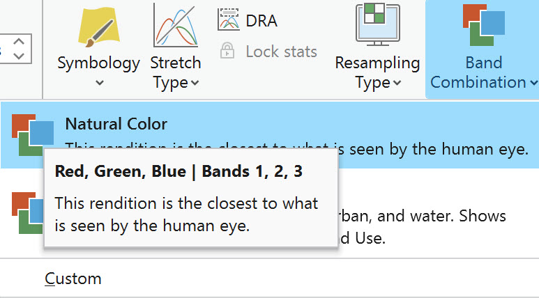 Screenshot of the Natural Color pop-out box.