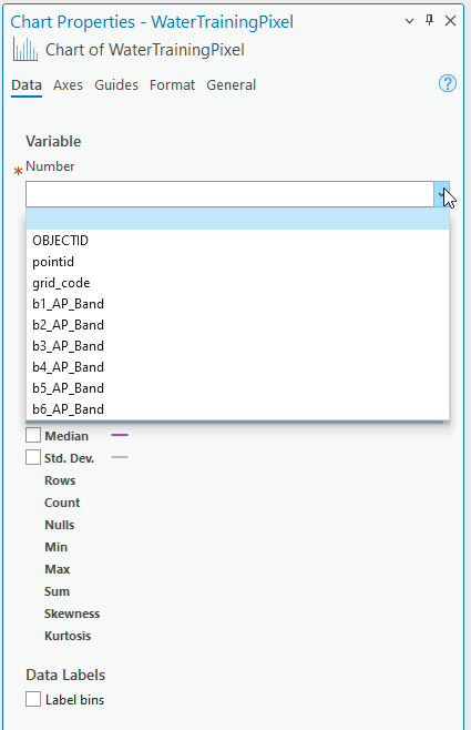 Screenshot of histogram chart properties.