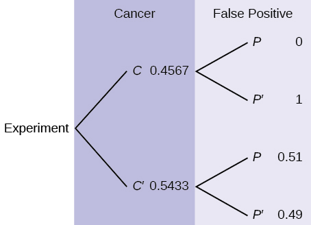 This is a tree diagram with two branches. The first branch, labeled Cancer, shows two lines: 0.4567 C and 0.5433 C'. The second branch is labeled False Positive. From C, there are two lines: 0 P and 1 P'. From C', there are two lines: 0.51 P and 0.49 P'.