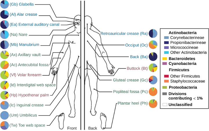 Figure description available at the end of the chapter.