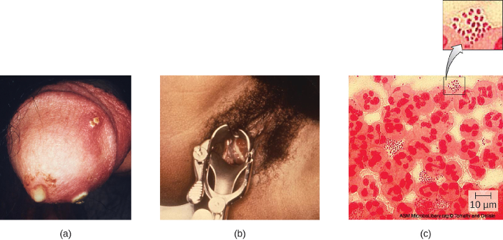 Figure description available at the end of the chapter.