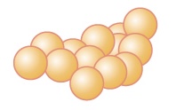 The term staphylococcus is the name for a cluster of cocci; the spheres are connected into a bundle.