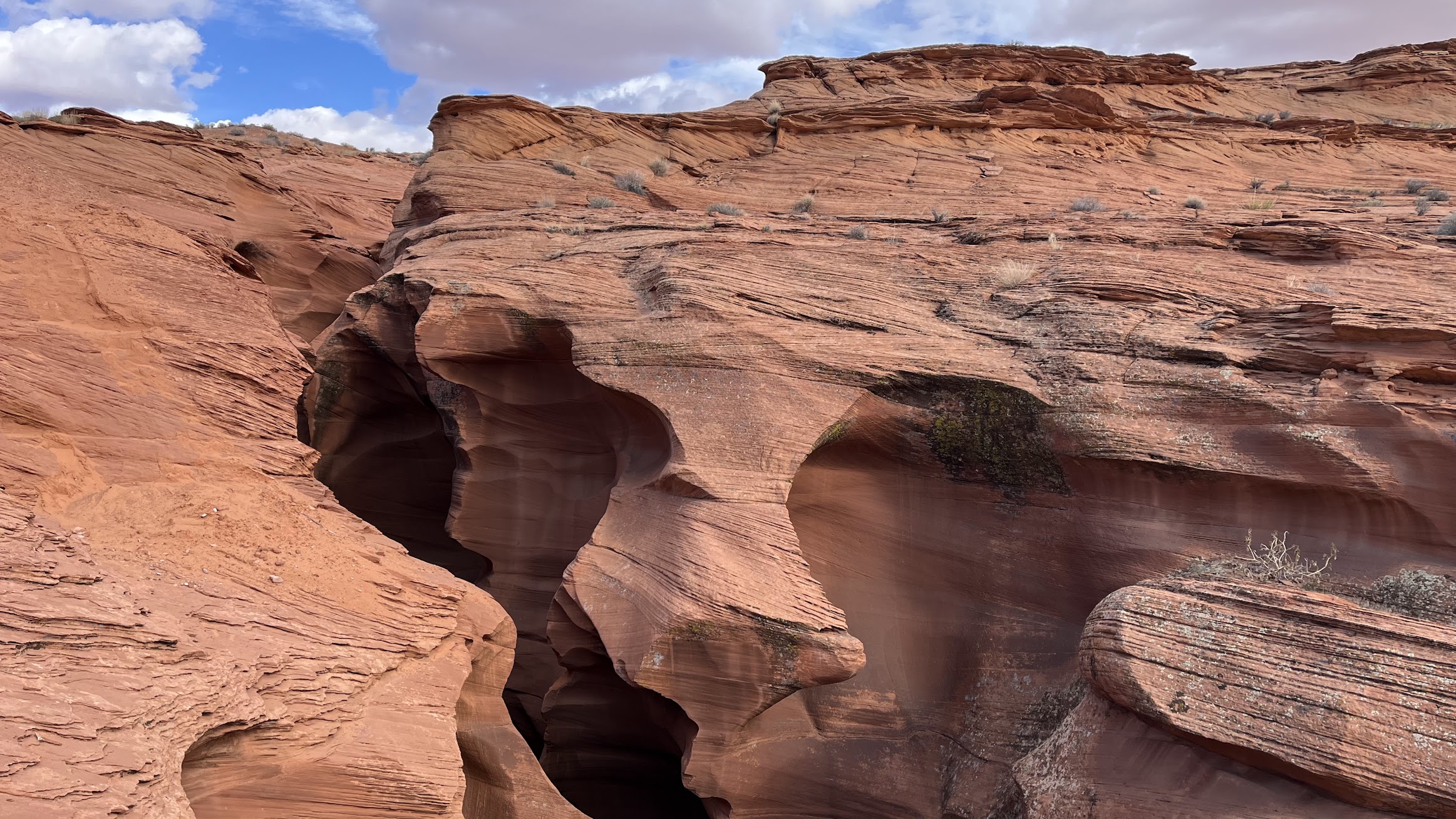 This grey rock has round circles left by raindrops. There is a 3-centimeter scale bar on the upper right of the rock.