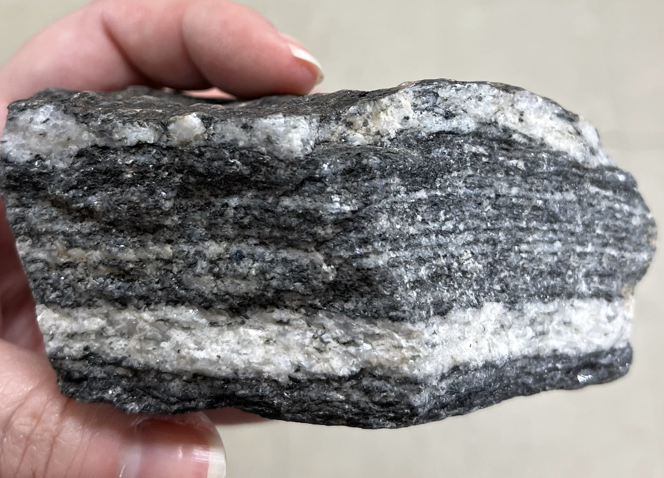 Hand holding blocky chunk of rock that has distinct black and white parallel bands throughout.