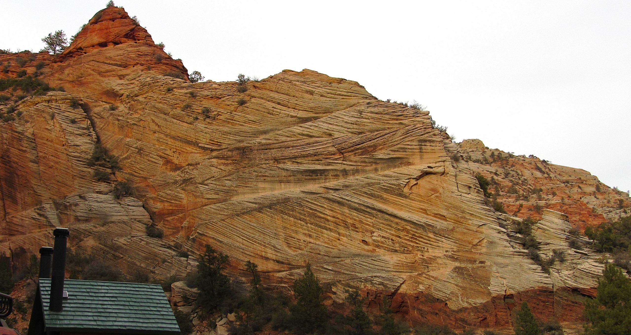 Tan sandstone with many thinly-bedded layers at various angles visible along the cliff face.