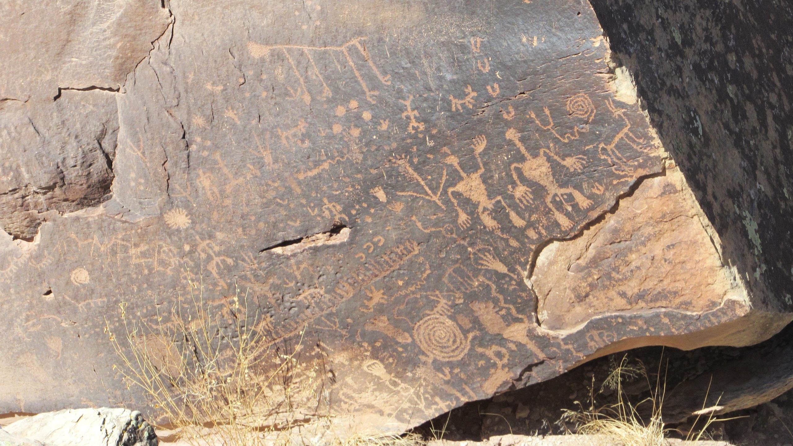 The rock is dark brown with tan petroglyphs carved into it.