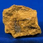 Sample of limonite which has a dull, yellow color.