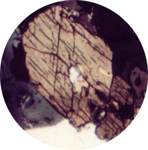 Photomicrograph showing 120/60 degree cleavage as seen by thin black criss-crossing black lines in tan amphibole grain.