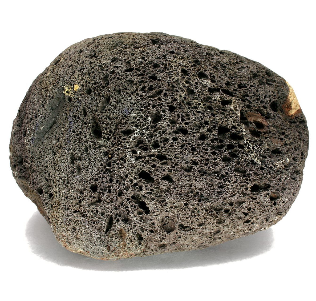 A round-shaped sample of dull black lava rock full of small air holes.