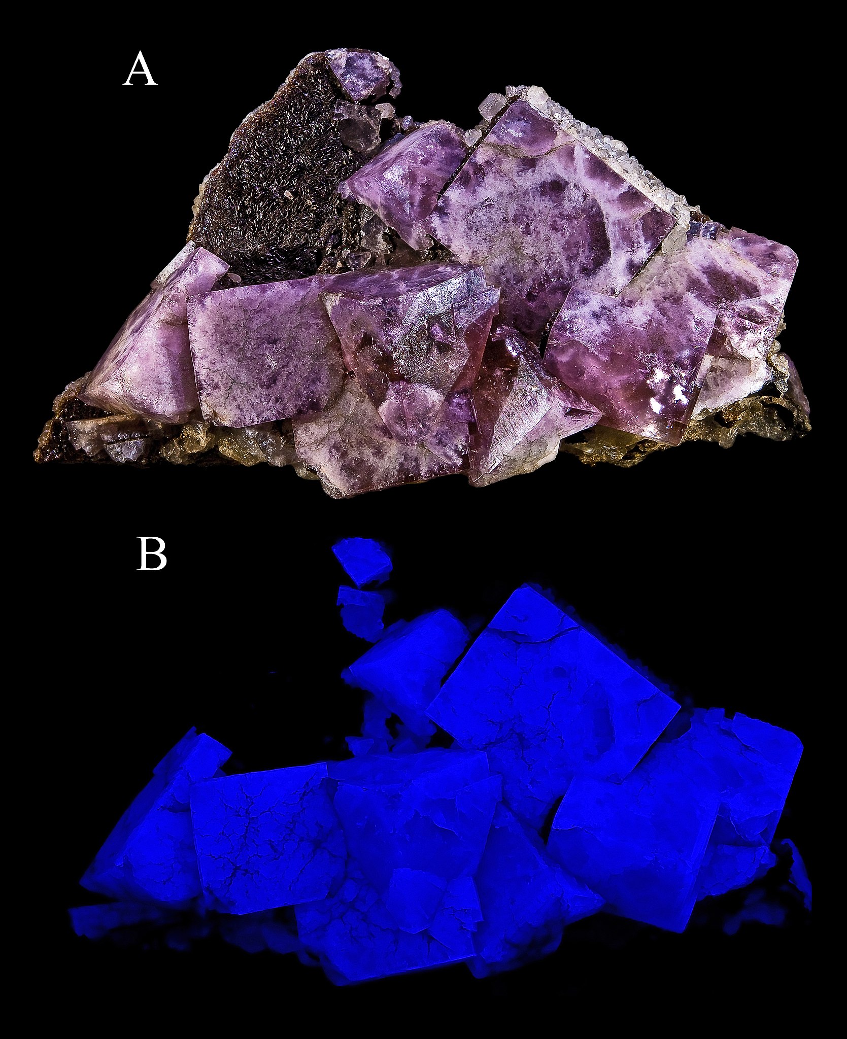 Purplish crystals of fluorite. The second image shows the deep blue fluorescence of fluorite under ultraviolet light.