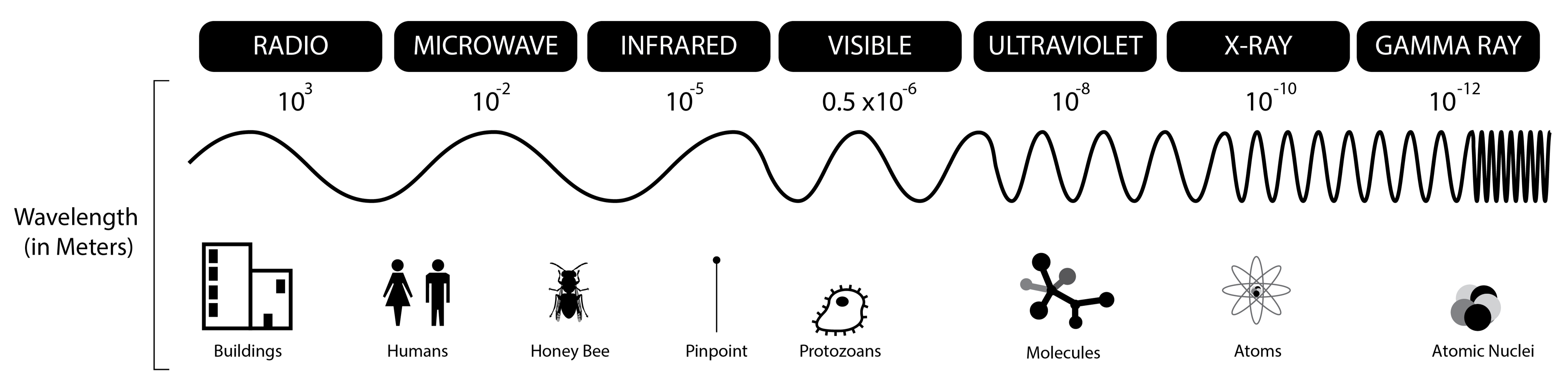 Figure description available at the end of the chapter.