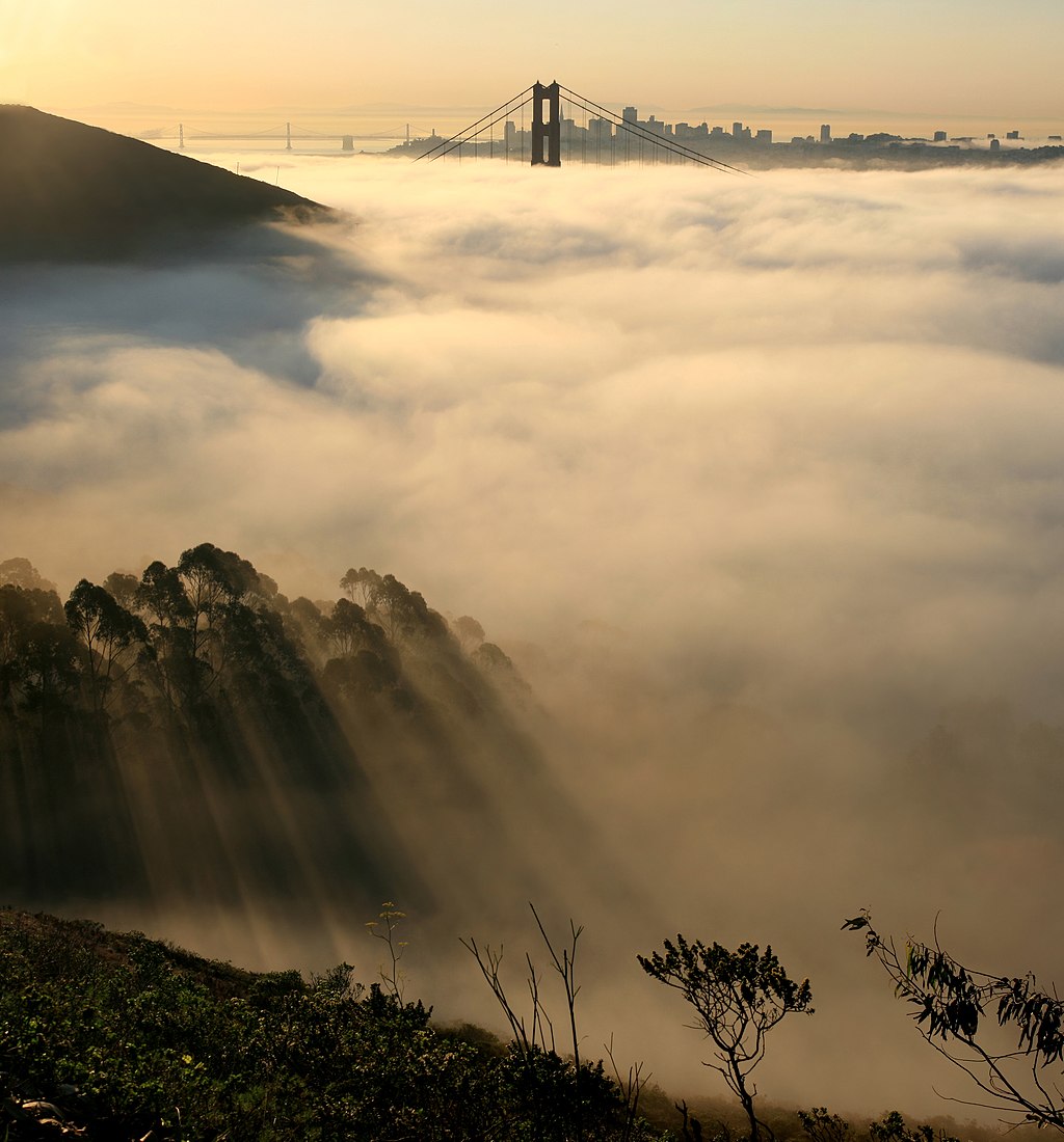 Photograph of low-lying thick white cloud cover with the Golden Gate Bridge visible in the background rising out of the fog.