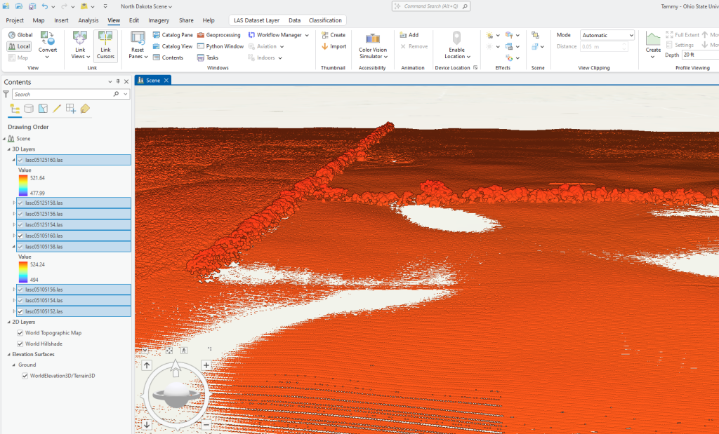 Figure 10.40 A tree lined road?