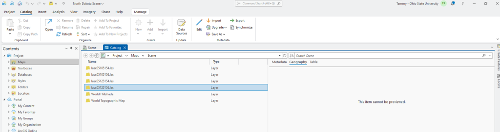 Figure 11.5 Previewing Geography in Catalog View