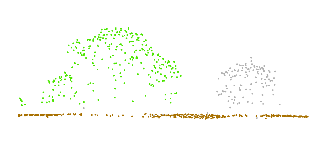 Figure 21.10 Profile View of Area with Vegetation