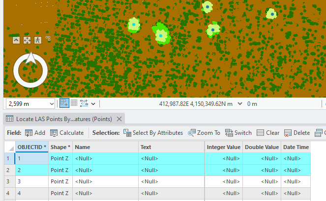 Figure 21.34 Selecting 2 Trees within the Attribute Table